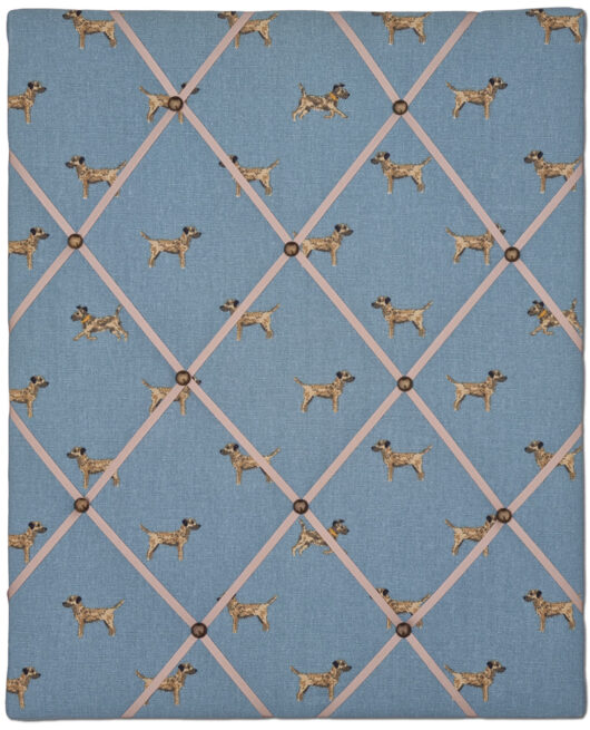 Border Terriers Notice Board