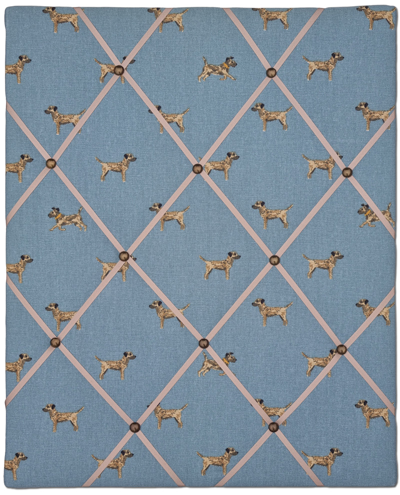 Border Terriers Notice Board